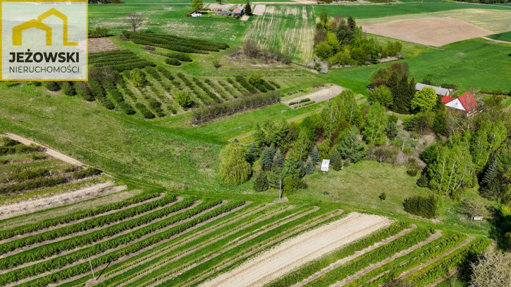 Działka Sprzedaż Rzeczyca 11
