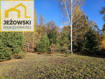 Działka Sprzedaż Kolonia Góra Puławska