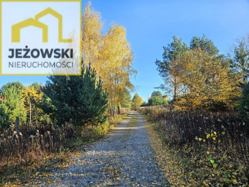 Działka Sprzedaż Kolonia Góra Puławska