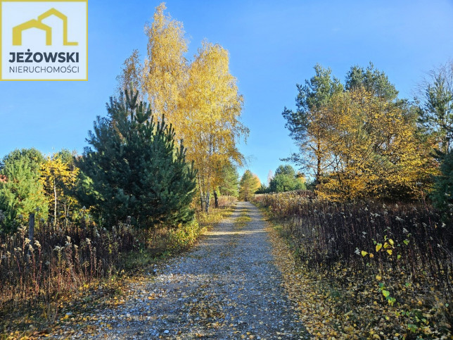 Działka Sprzedaż Kolonia Góra Puławska 8