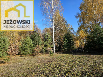 Działka Sprzedaż Kolonia Góra Puławska