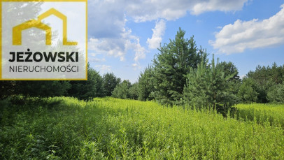 Działka Sprzedaż Kolonia Góra Puławska