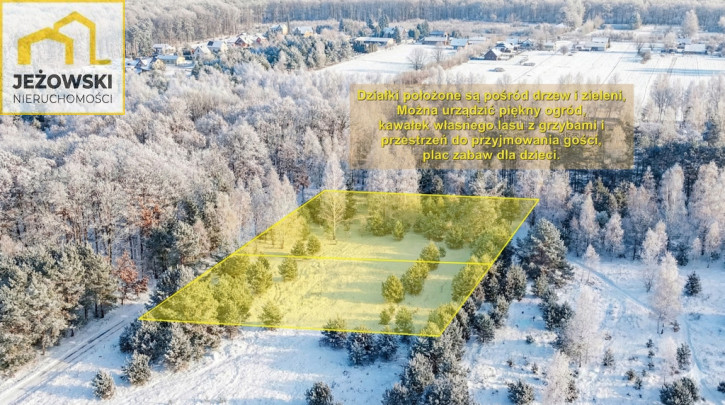 Działka Sprzedaż Kolonia Góra Puławska 2