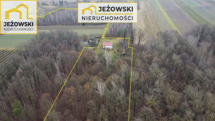 Dom Sprzedaż Zaborze 29