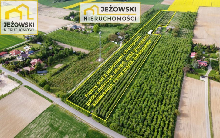 Działka Sprzedaż Moszna 3