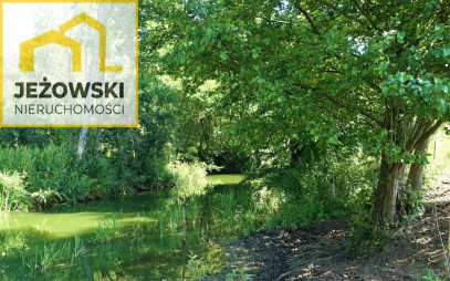 Działka Sprzedaż Żegoty