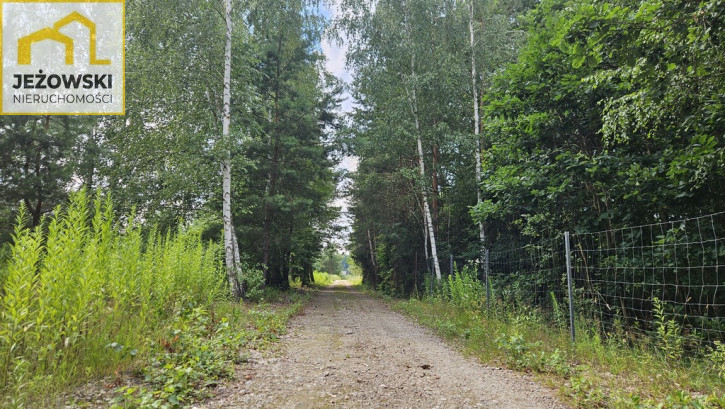 Działka Sprzedaż Kolonia Góra Puławska 4