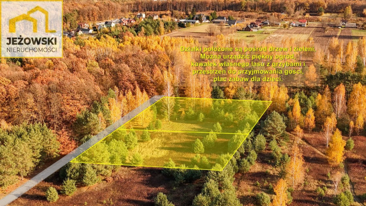 Działka Sprzedaż Kolonia Góra Puławska 8