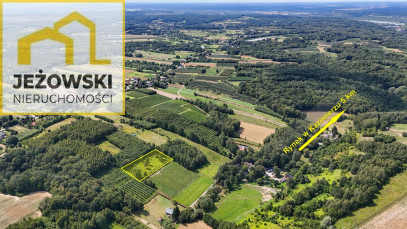 Działka Sprzedaż Kazimierz Dolny Jeziorszczyzna
