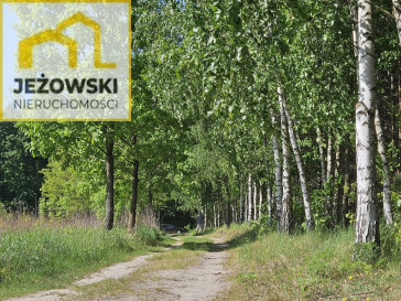 Działka Sprzedaż Ławeczko Stare