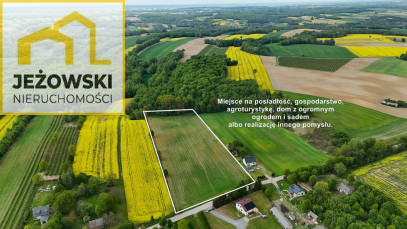 Działka Sprzedaż Stanisławka