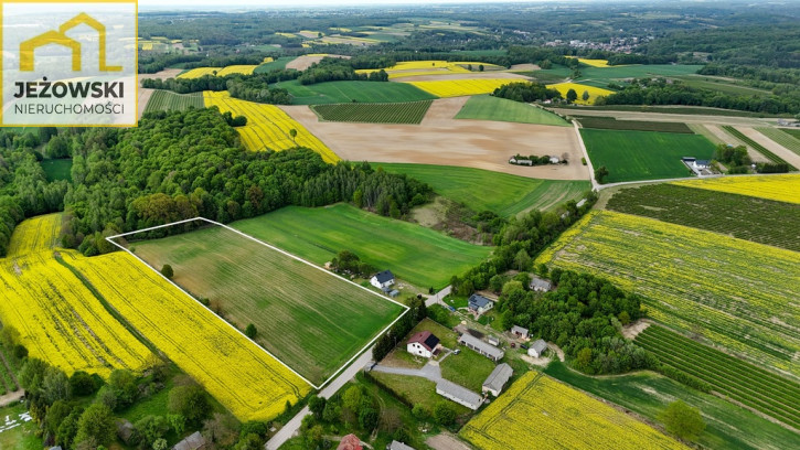 Działka Sprzedaż Stanisławka 6
