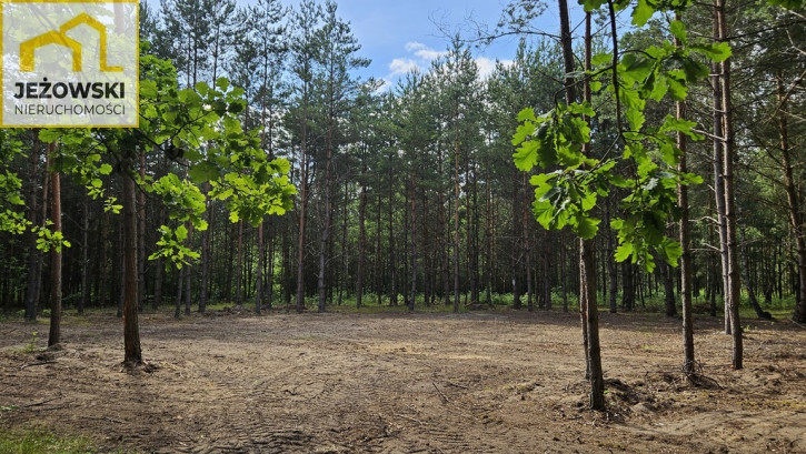 Działka Sprzedaż Nowosiółki 1
