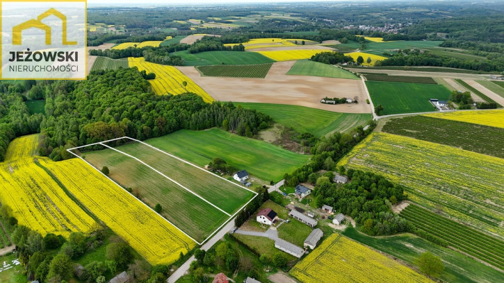Działka Sprzedaż Stanisławka 6