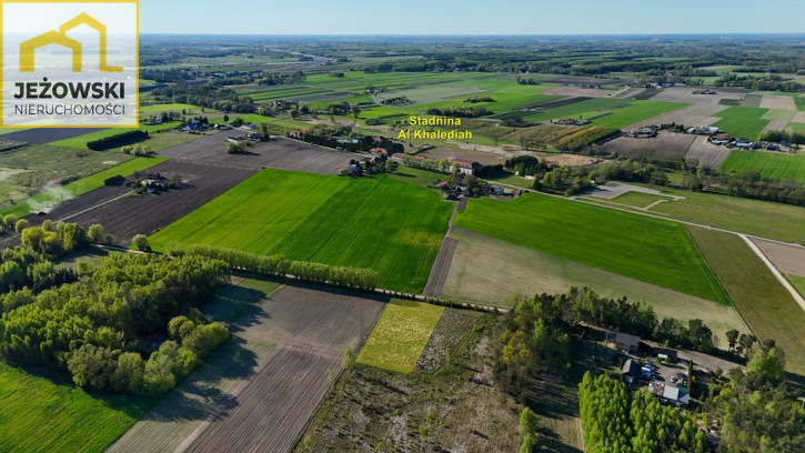 Działka Sprzedaż Nowe Wrońska 7