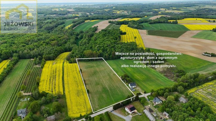 Działka Sprzedaż Stanisławka 5