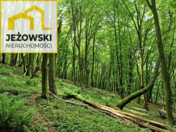 Działka Sprzedaż Kazimierz Dolny Puławska
