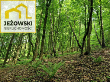 Działka Sprzedaż Kazimierz Dolny Puławska