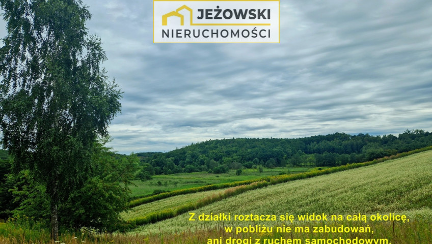 Działka Sprzedaż Witoszyn