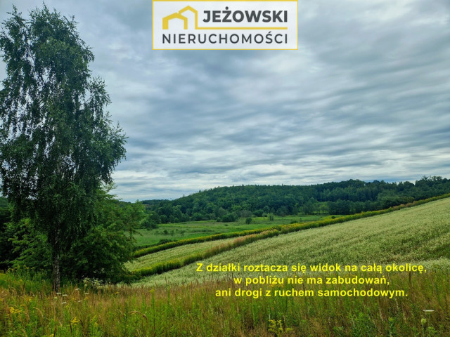 Działka Sprzedaż Witoszyn