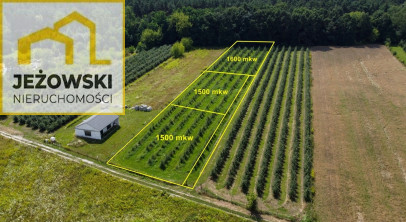 Działka Sprzedaż Kazimierz Dolny Cholewianka