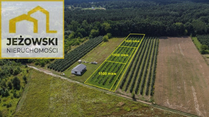 Działka Sprzedaż Kazimierz Dolny Cholewianka