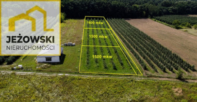 Działka Sprzedaż Kazimierz Dolny Cholewianka