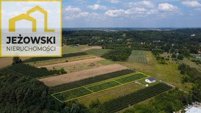 Działka Sprzedaż Kazimierz Dolny Cholewianka