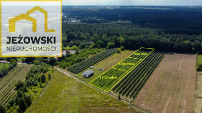 Działka Sprzedaż Kazimierz Dolny Cholewianka