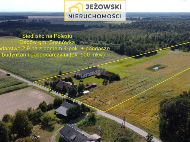 Sprzedane! Siedlisko 2,9ha z domem, Dębów.