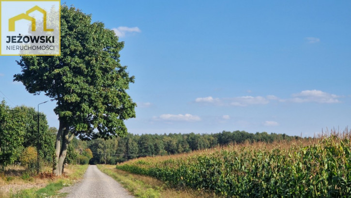 Dom Sprzedaż Dębów 19