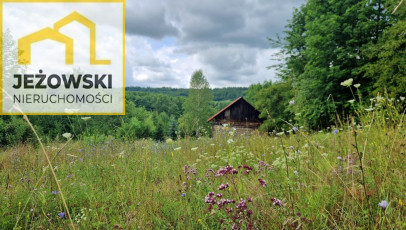 Działka Sprzedaż Celejów