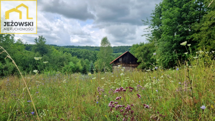 Działka Sprzedaż Celejów 15