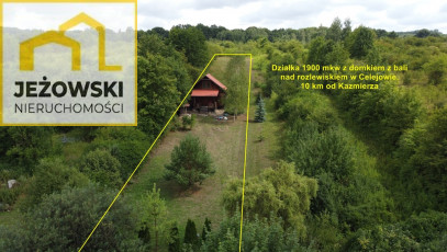 Działka Sprzedaż Celejów