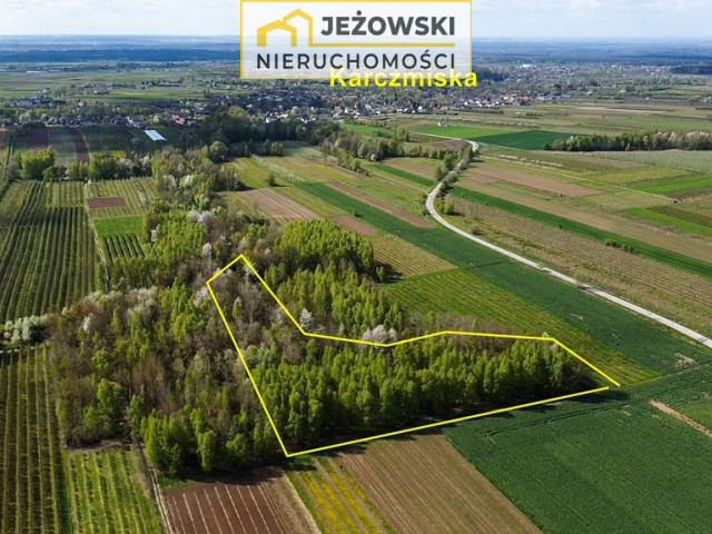 Sprzedana! Duża działka 1,26ha, 10km od Kazimierza